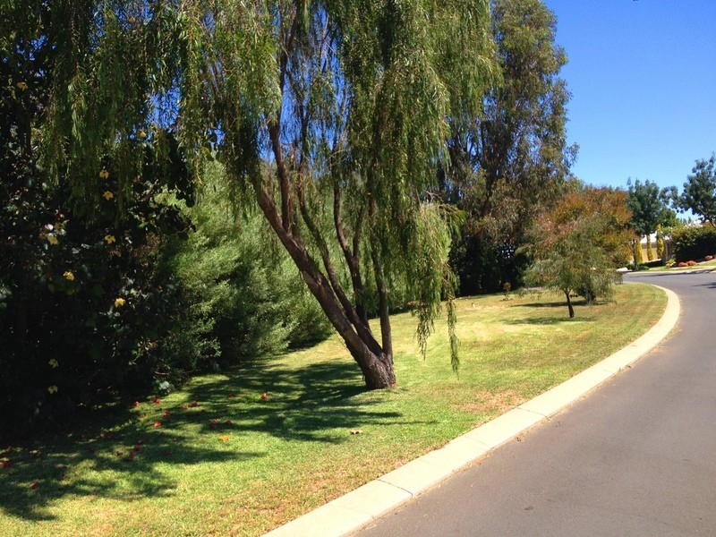 14 Caprock Cres, Vasse WA 6280