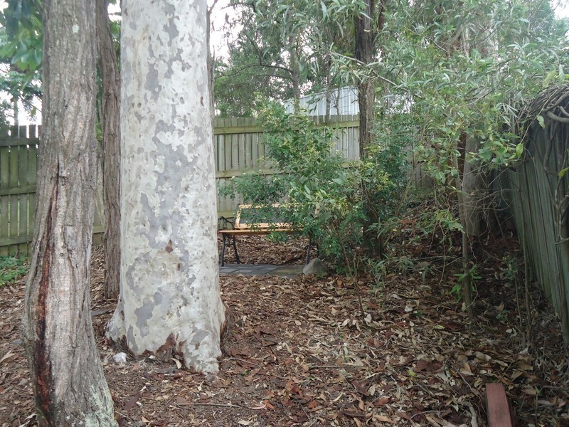 5 Forestwood Place, Arana Hills QLD 4054