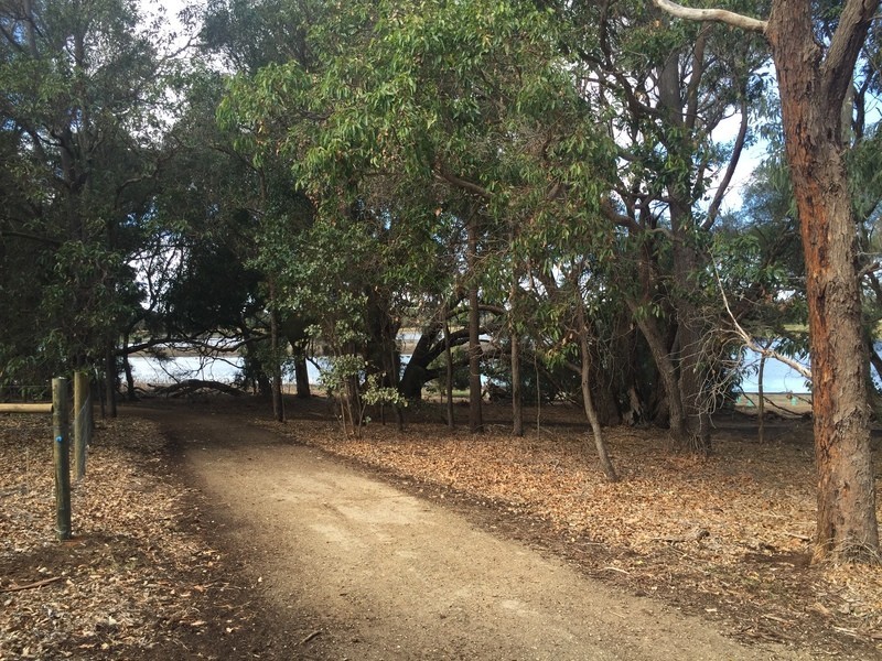 34C Norman Street, Innaloo WA 6018