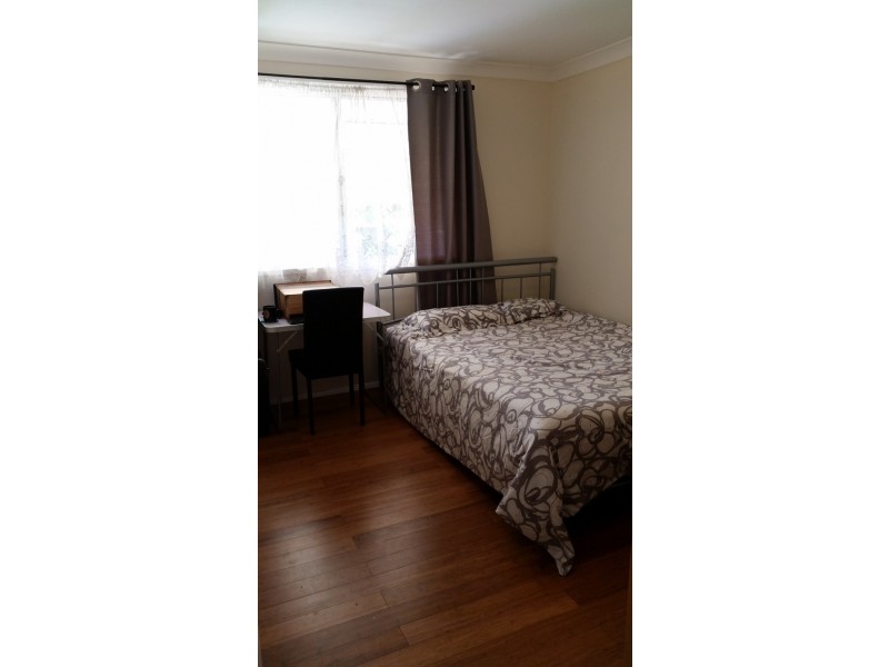 33 Coriander Street, Bald Hills QLD 4036