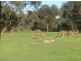 44 Beauty Gully Road, Warrandyte VIC 3113