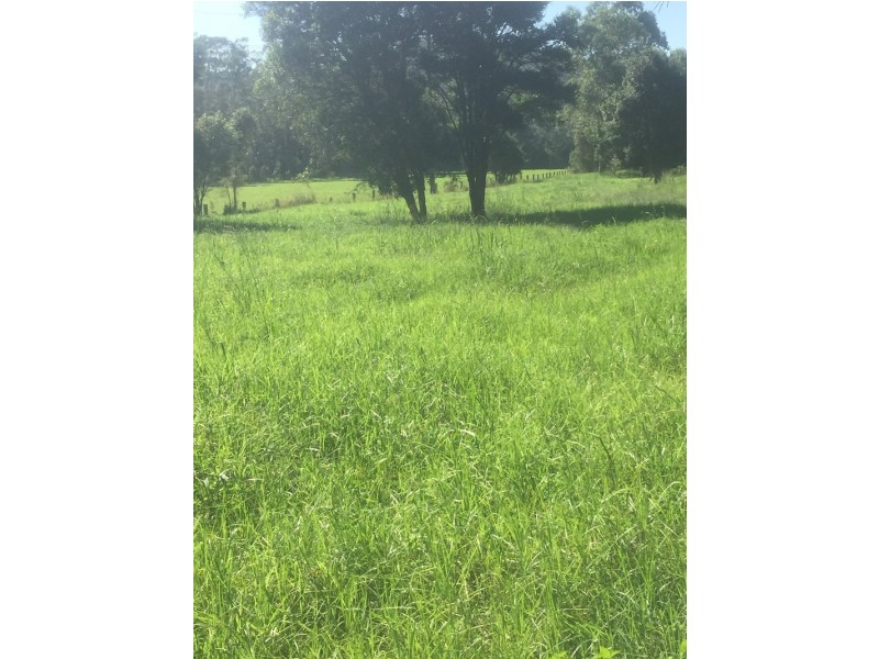 61 Chittaway Road, Kangy Angy NSW 2258