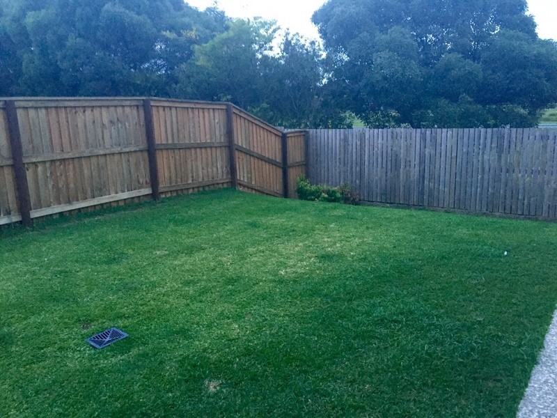 Forest Glen QLD 4556