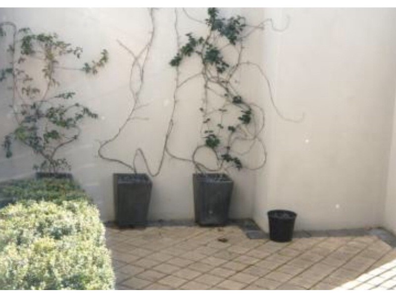 27b Blencowe Street, West Leederville WA 6007