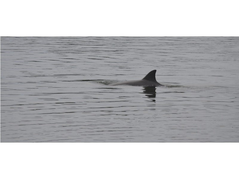 16/2 Barneys Point Road, Banora Point NSW 2486