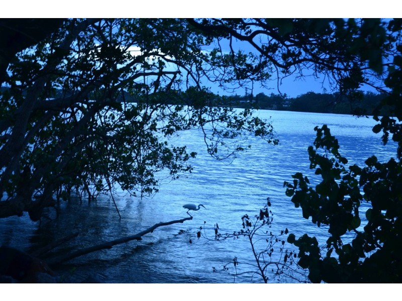 16/2 Barneys Point Road, Banora Point NSW 2486