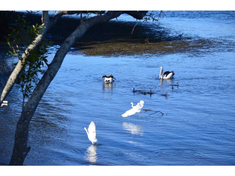 16/2 Barneys Point Road, Banora Point NSW 2486