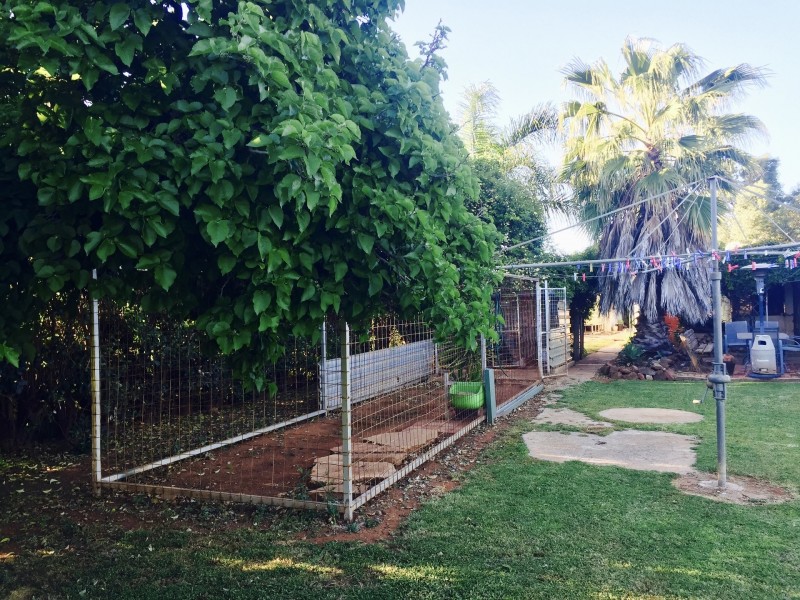 2 Grace St, Lake Cargelligo NSW 2672