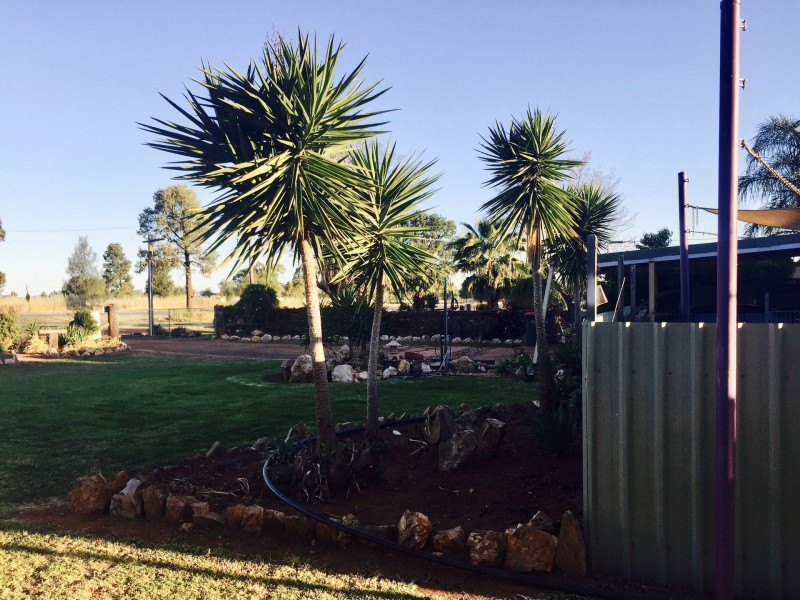 2 Grace St, Lake Cargelligo NSW 2672