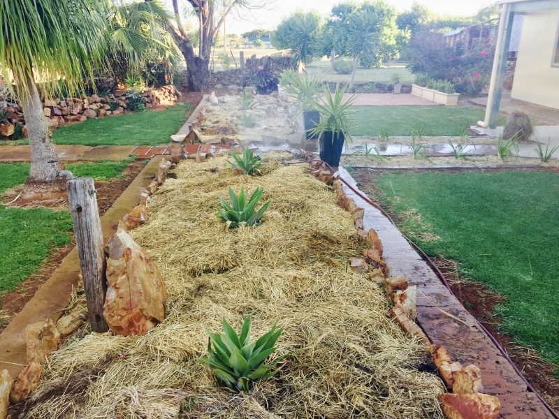 2 Grace St, Lake Cargelligo NSW 2672