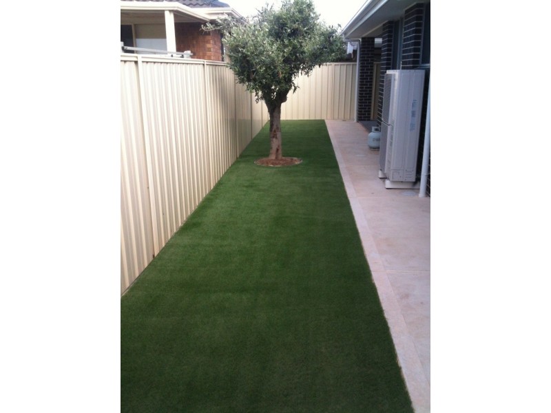 2A Collins St, Croydon Park SA 5008