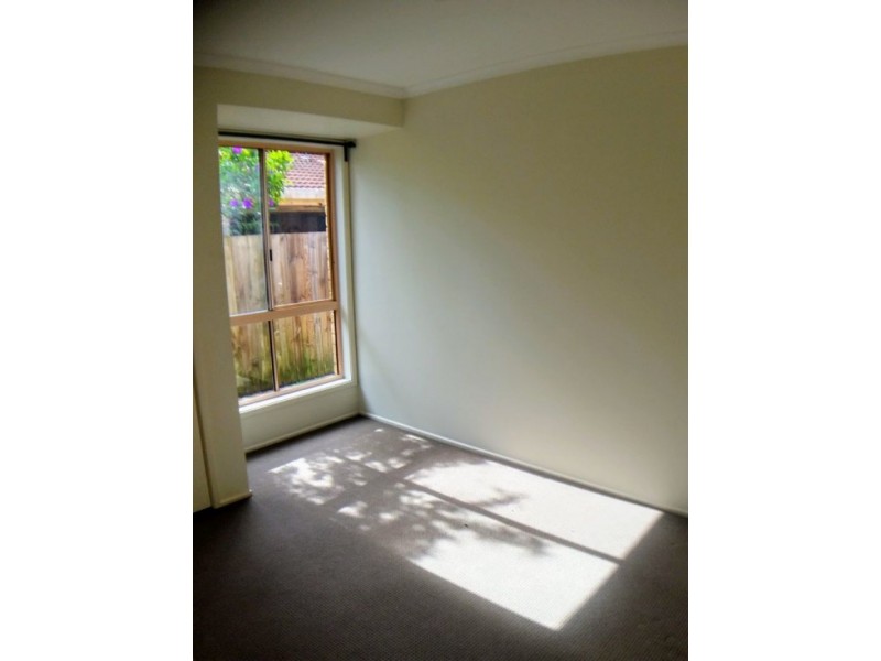 4 Cinema Street, Oxenford QLD 4210