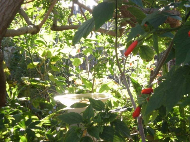 25 Broadbank Lane, Beachlands WA 6530