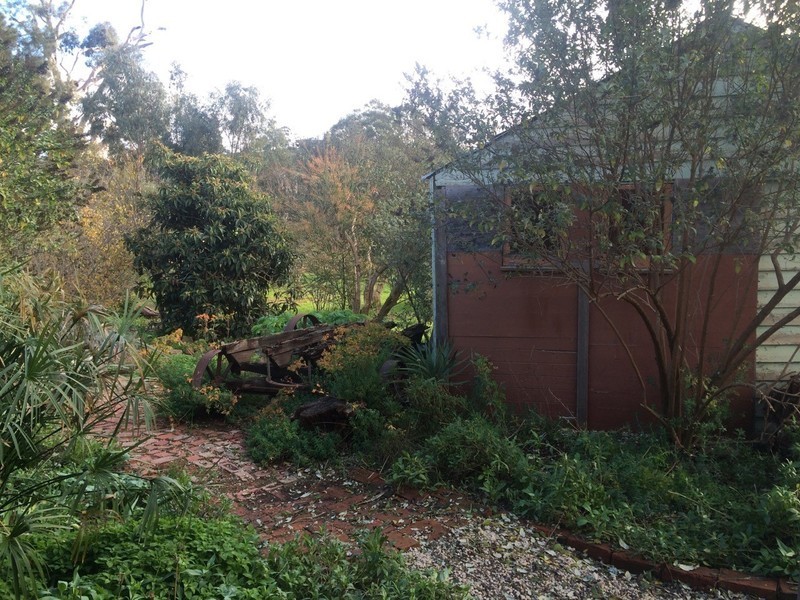 19 Fryers st, Guildford VIC 3451