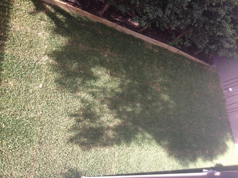 1/6 Kent Street, Waverley NSW 2024