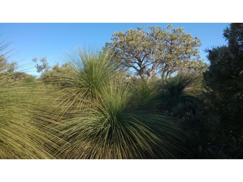 Lot 79 Seaflower Way, Gabbadah WA 6041