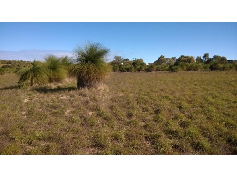Lot 79 Seaflower Way, Gabbadah WA 6041