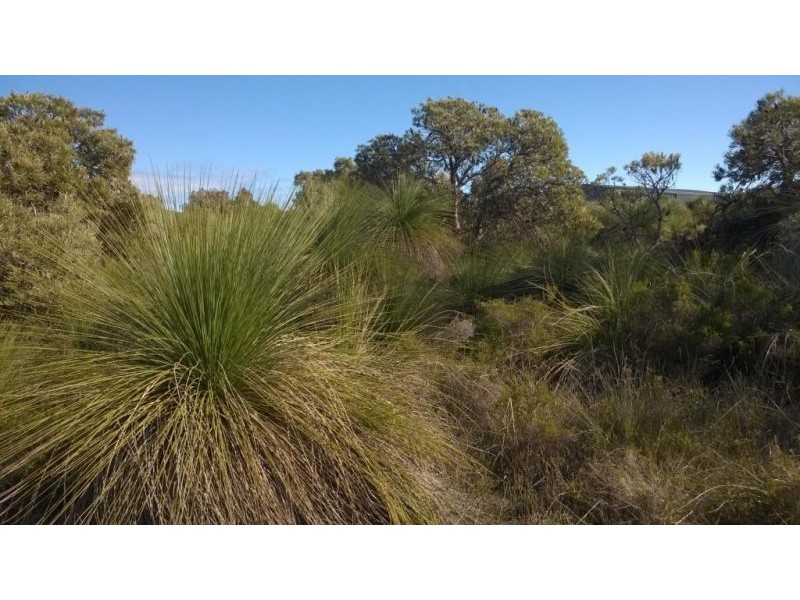 Lot 79 Seaflower Way, Gabbadah WA 6041