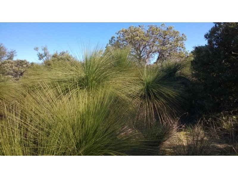 Lot 79 Seaflower Way, Gabbadah WA 6041