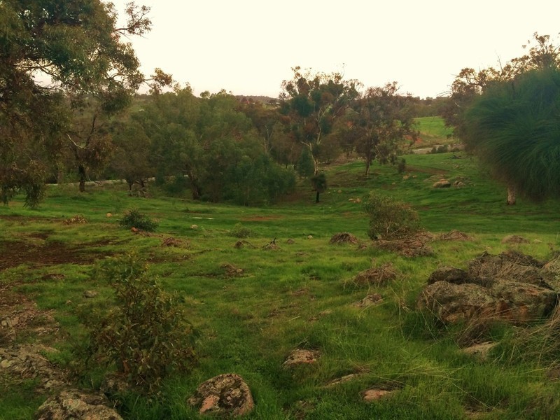 17 Prairie Chase, Bullsbrook WA 6084