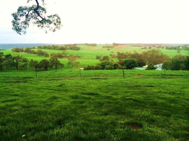 17 Prairie Chase, Bullsbrook WA 6084