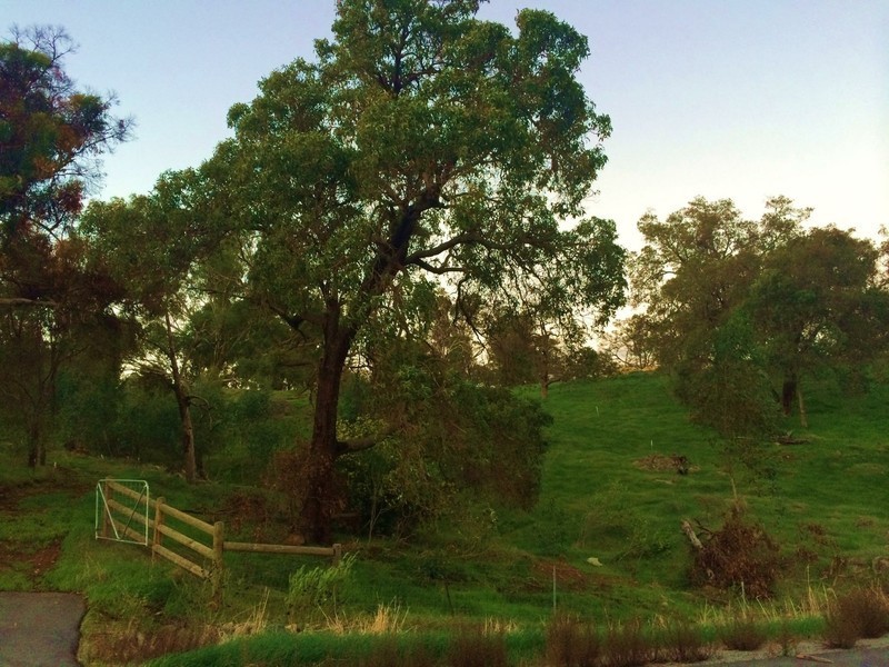 17 Prairie Chase, Bullsbrook WA 6084