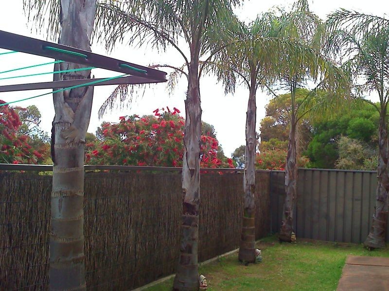 10/6 Sunglo court, Teringie SA 5072