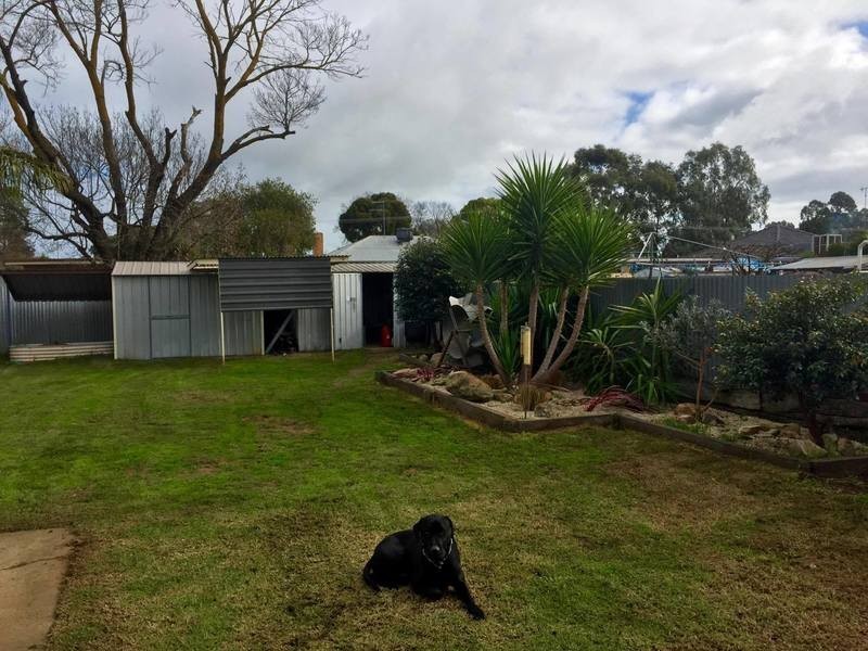 17 Wirbill Street, Cobram VIC 3644