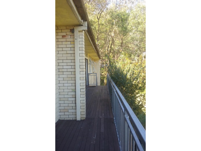 12 Moriac Street, Moorooka QLD 4105