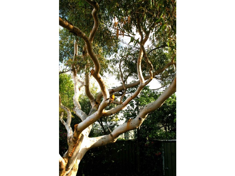 South Fremantle WA 6162