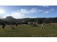 409 Yandina-Bli Bli Road, Maroochy River QLD 4561