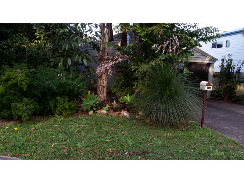 61 Eumundi Noosa Rd, Noosaville QLD 4566