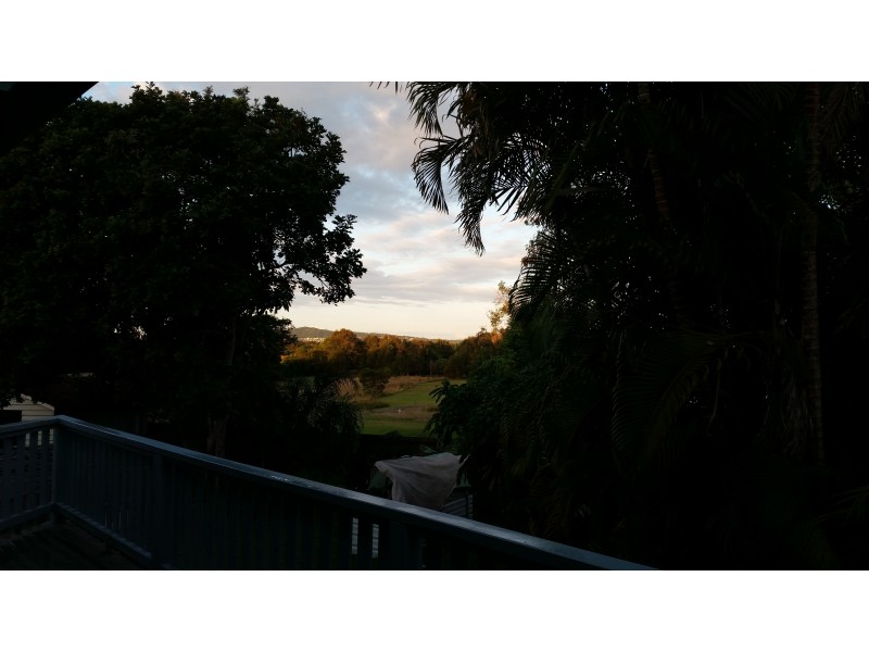 61 Eumundi Noosa Rd, Noosaville QLD 4566