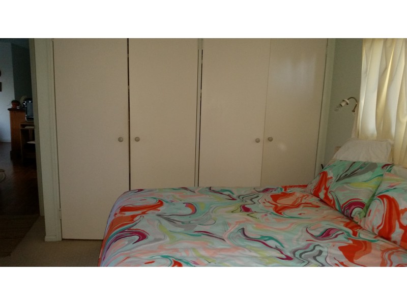 61 Eumundi Noosa Rd, Noosaville QLD 4566