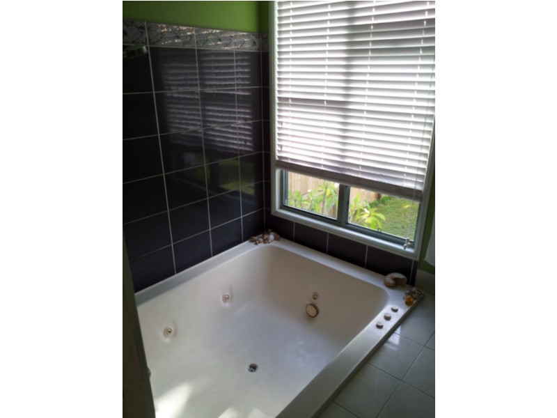 61 Eumundi Noosa Rd, Noosaville QLD 4566