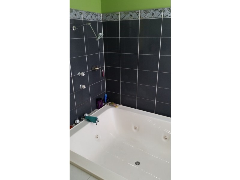 61 Eumundi Noosa Rd, Noosaville QLD 4566