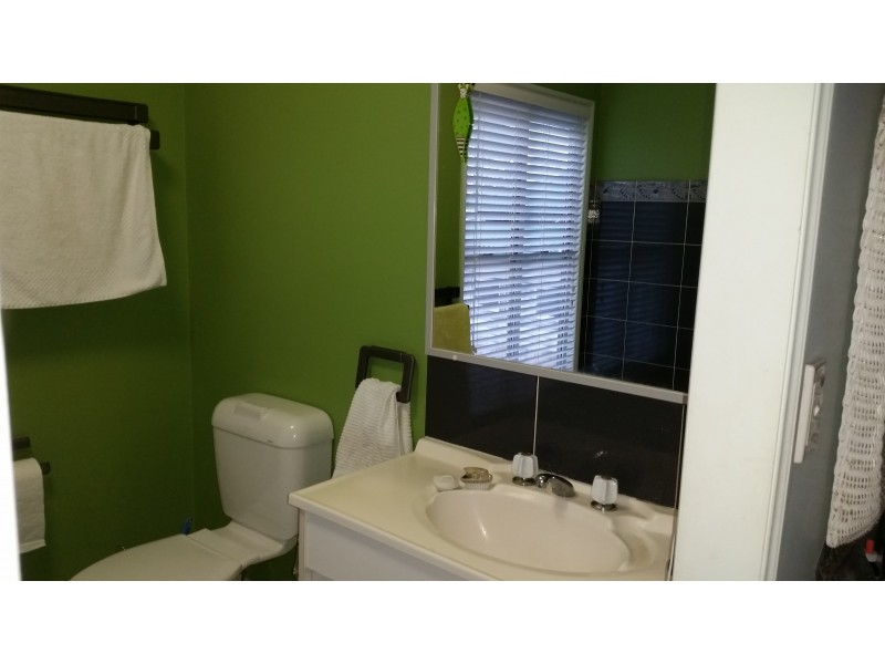 61 Eumundi Noosa Rd, Noosaville QLD 4566