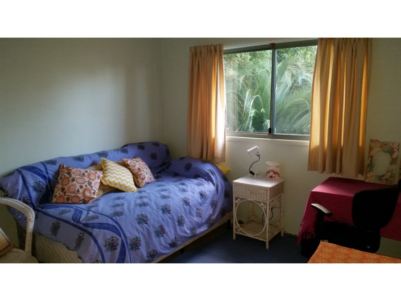 61 Eumundi Noosa Rd, Noosaville QLD 4566