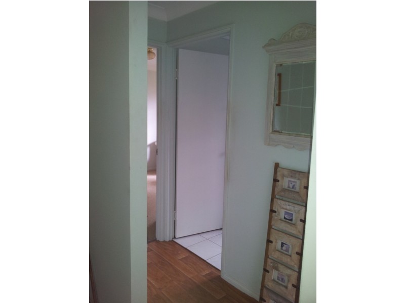 61 Eumundi Noosa Rd, Noosaville QLD 4566