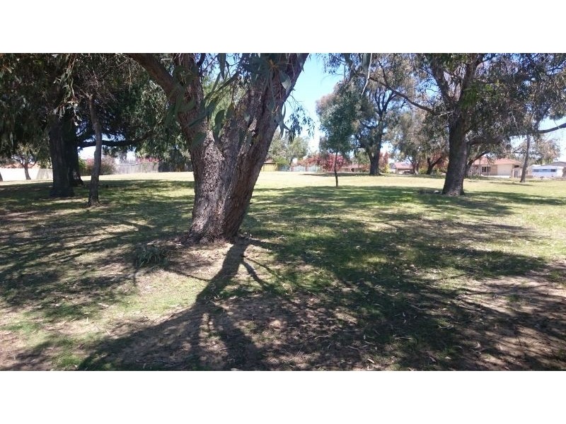 21 Chestnut Grove, Mirrabooka WA 6061