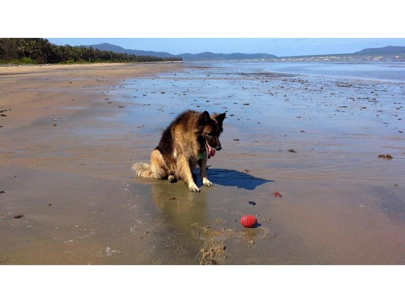 5/Billfish Close, Wonga Beach QLD 4873