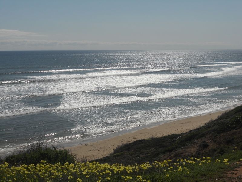 24 Weeroona Ave, Port Noarlunga South SA 5167