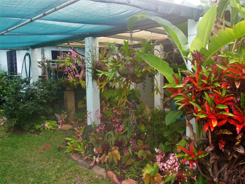 8 Pine Street, Forrest Beach QLD 4850