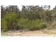 16 Holly Place, Cowaramup WA 6284