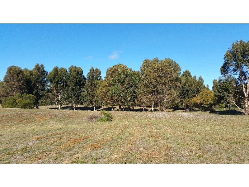 Lot 115 Eleven Mile Beach Road, Pink Lake WA 6450