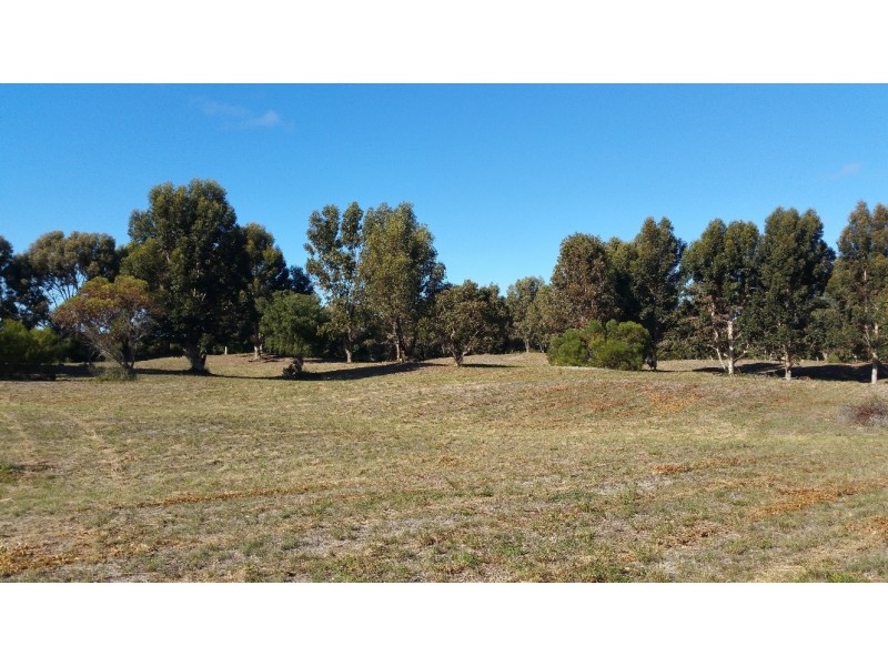 Lot 115 Eleven Mile Beach Road, Pink Lake WA 6450