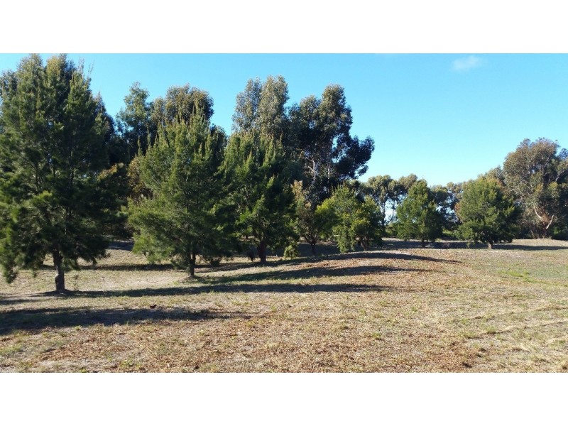 Lot 115 Eleven Mile Beach Road, Pink Lake WA 6450