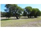 4 Dobbins Place, Witchcliffe WA 6286