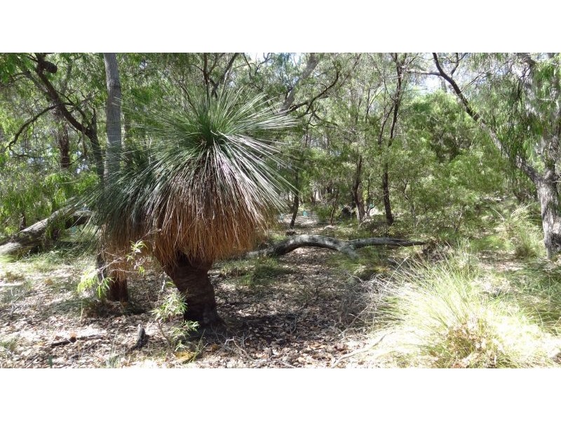 4 Dobbins Place, Witchcliffe WA 6286