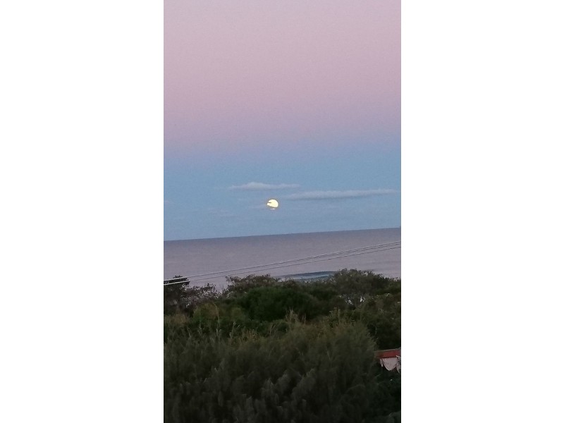 37  Plover Street, Peregian Beach QLD 4573